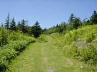 DSC01170.JPG