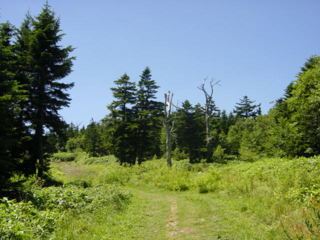 DSC01172.JPG