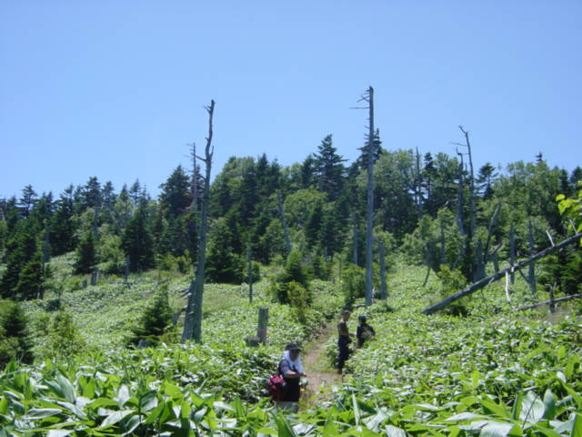 DSC01173.JPG