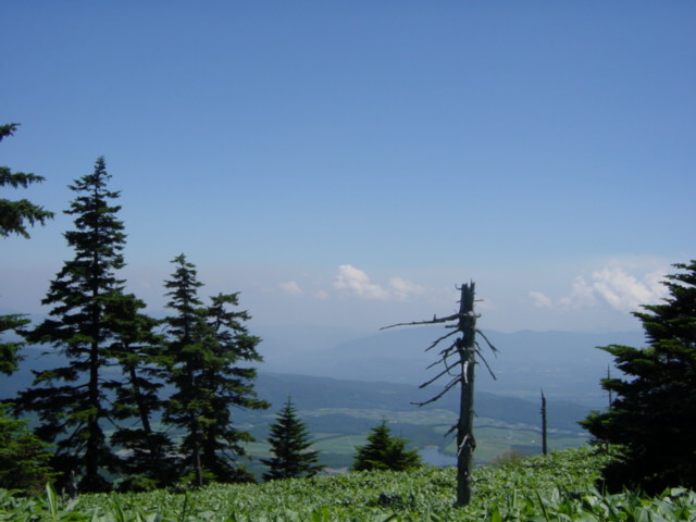 DSC01174.JPG