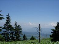 DSC01174.JPG
