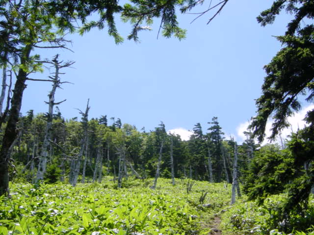 DSC01179.JPG