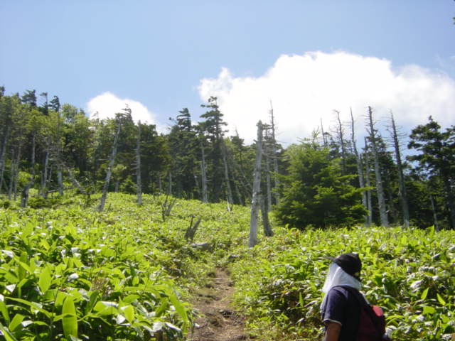 DSC01180.JPG