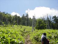 DSC01180.JPG