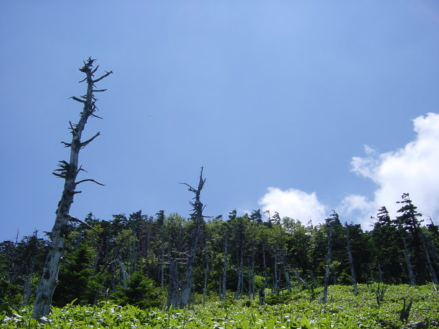 DSC01181.JPG