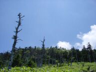 DSC01181.JPG