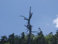 DSC01182.JPG