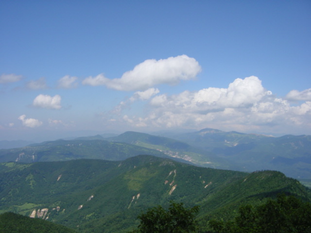 DSC01188.JPG