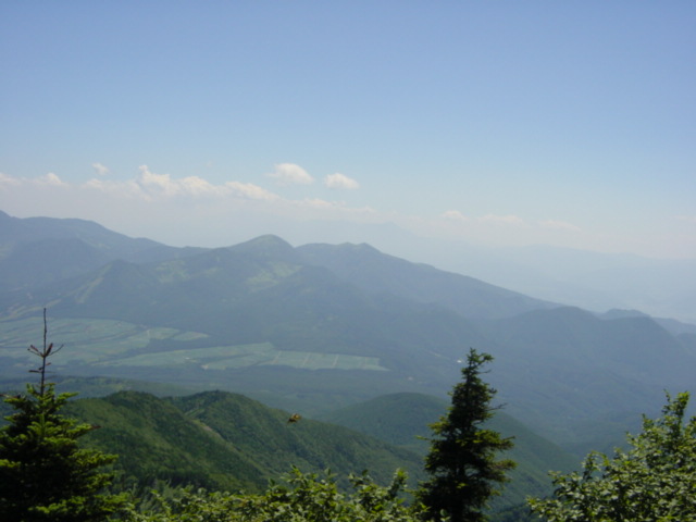 DSC01193.JPG