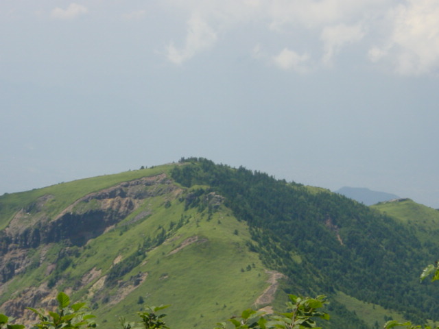 DSC01195.JPG