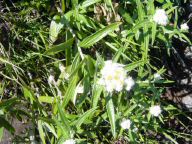 DSC01210.JPG