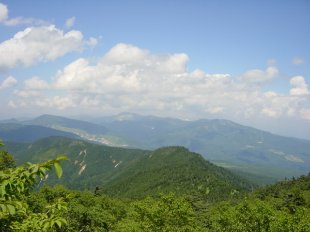 DSC01211.JPG