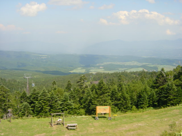 DSC01222.JPG