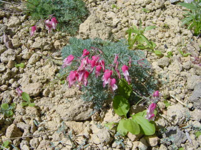DSC01227.JPG
