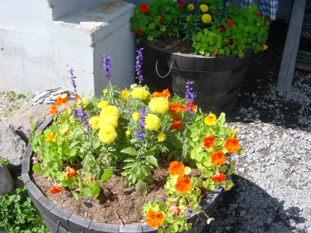 DSC01228.JPG