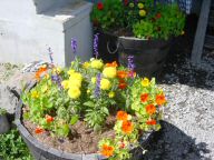 DSC01228.JPG