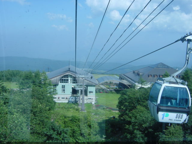 DSC01231.JPG