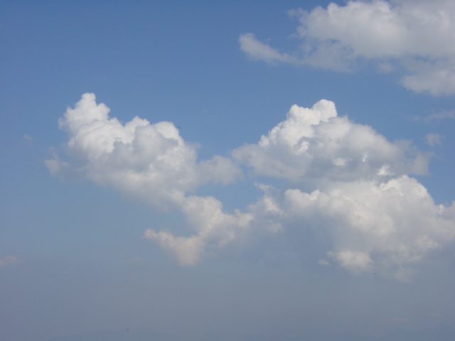 DSC01235.JPG