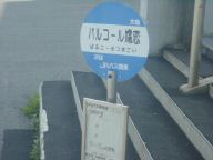 DSC01238.JPG