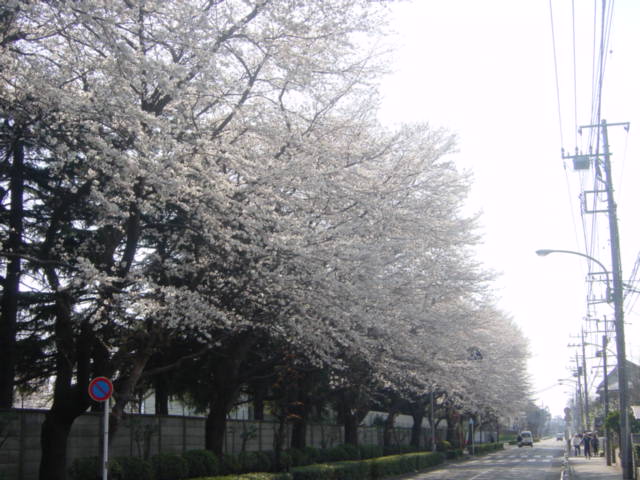 �R���Q�W�����R