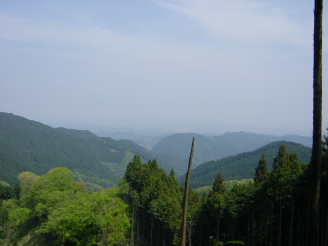 ������ƒg�������Ōi�F���ڂ₯�Ă���B