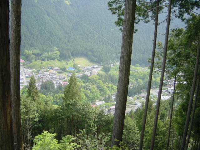 �䍖�̒�