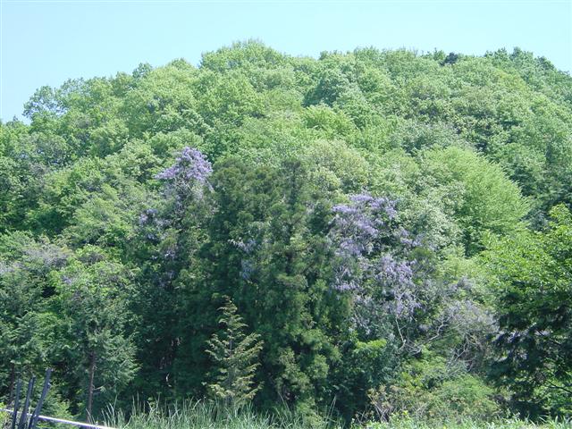 �R��