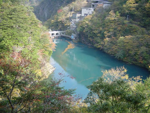 ���݂̒苴�S