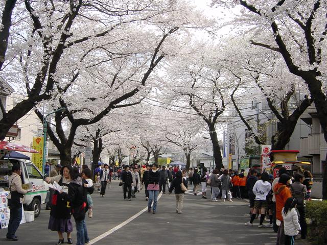 �약���̂��Ղ�