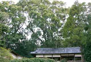 神社