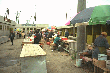 ���R�s��i�I���ԍہj