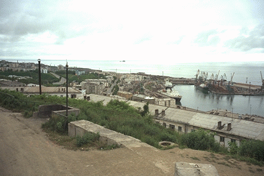 �z�����X�N�`�S�i