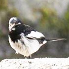 �����T��