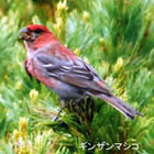 ���k�T��