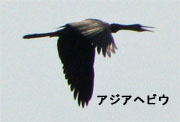 wrE