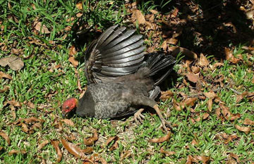 ���I�E��