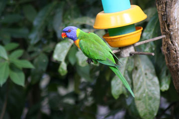 ���I�E��