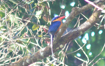 ���I�E��