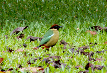 ���I�E��