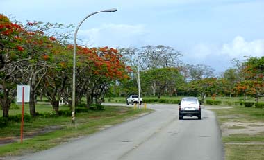 �Ή����̓�