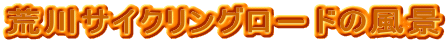 rTCNO|h̕i