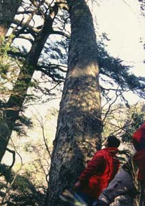 �I�X���b�̉z�~���ʐ^2