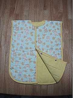 Vest
