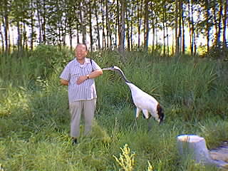 �W���[�����R�ی��