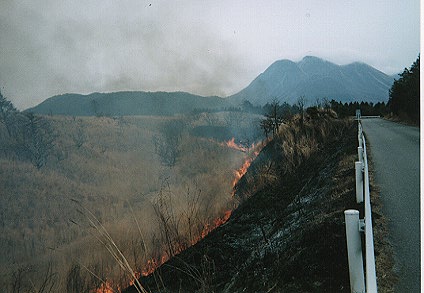 Scene of Noyaki #1