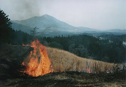 Scene of Noyaki #2