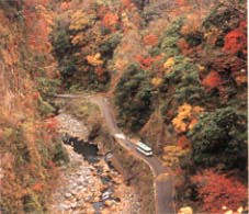 [Autum in Kyusuikei]