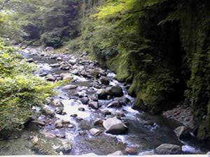 [River2]