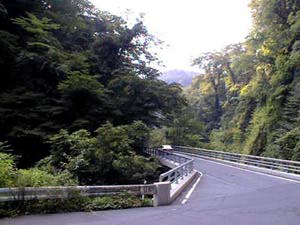 [Bridge]