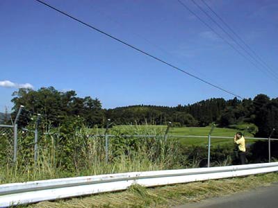 [Man Viewing The Valley]